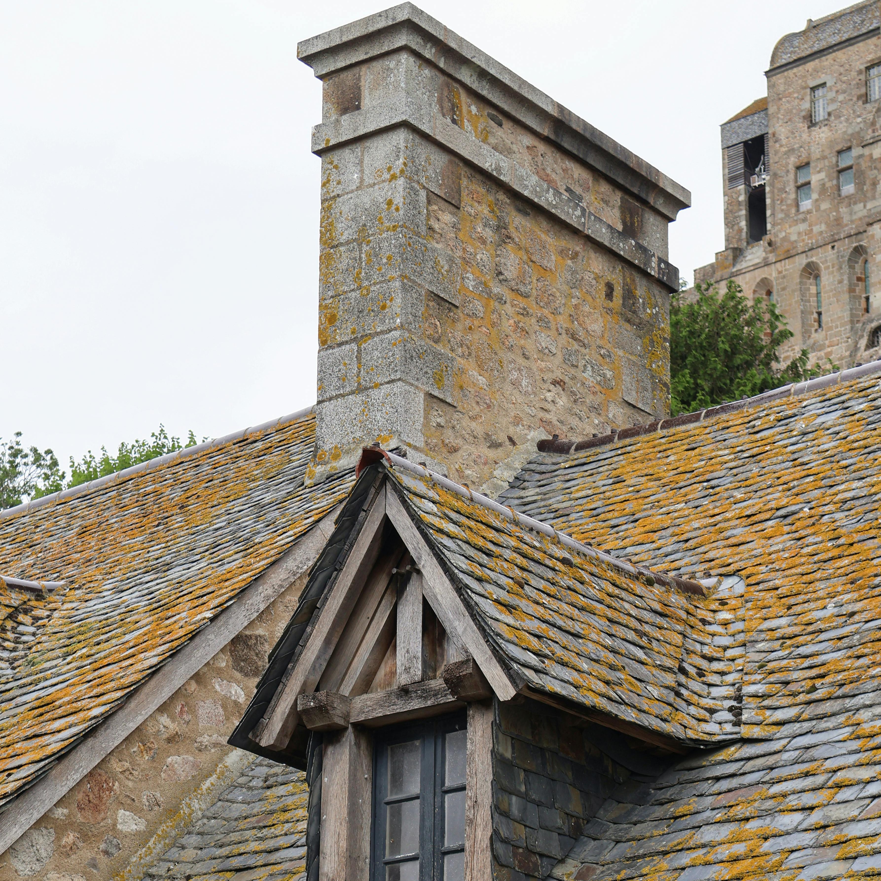 Toiture couverte de mousse et de lichen avant traitement par drone à Rennes